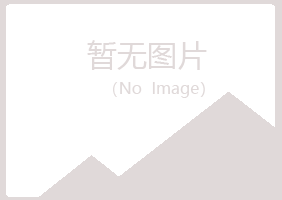 兴山区执着咨询有限公司